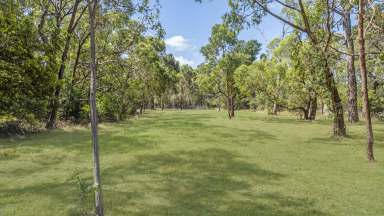 Farm For Sale - VIC - Tuerong - 3915 - Private Peninsula Retreat  (Image 2)