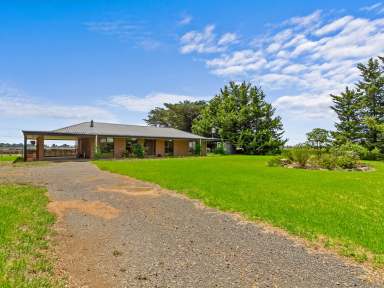 Farm For Sale - VIC - Myrtlebank - 3851 - Rural Feels - Town Convenience  (Image 2)