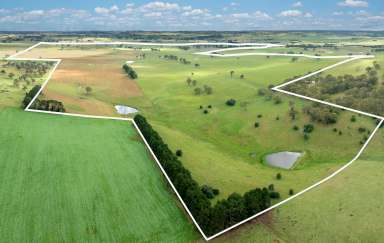 Farm Auction - NSW - Blayney - 2799 - Mayfield - A Prime Agricultural Property with Unlimited Potential  (Image 2)