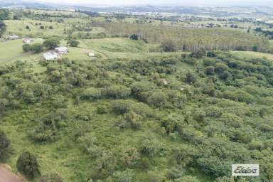 Farm For Sale - QLD - Tallegalla - 4340 - Just over 36 Acres - 2 Titles  (Image 2)