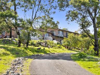 Farm For Sale - TAS - Sorell - 7172 - Sprawling family retreat with dual living, indoor pool, spa & sauna  (Image 2)