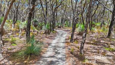 Farm For Sale - SA - Delamere - 5204 - 'Andorah Farm' - Pine-scented seclusion on a private & versatile 166-acre outpost.  (Image 2)