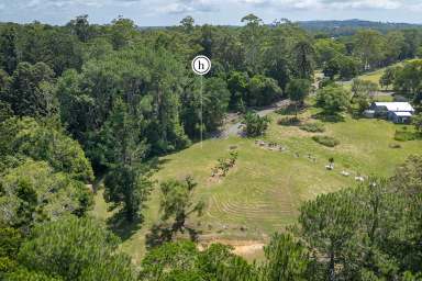 Farm For Sale - QLD - Cooroy - 4563 - Hinterland Acreage With Rainforest in Cooroy  (Image 2)