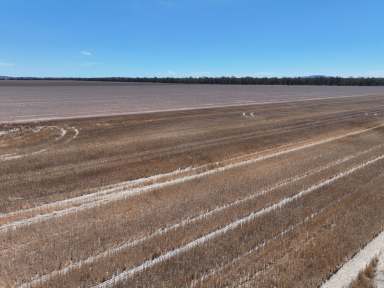 Farm For Sale - NSW - Caragabal - 2810 - Prime Cropping Opportunity!  (Image 2)