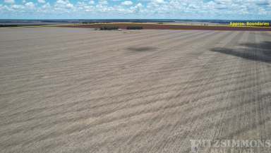 Farm Auction - QLD - Jandowae - 4410 - PREMIUM BRIGALOW/BELAH SOILS IN THE HIGHLY REGARDED TUCKERANG – INVERAI DISTRICT!!!  (Image 2)