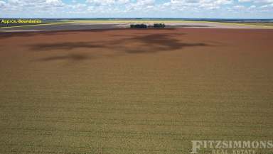 Farm Auction - QLD - Jandowae - 4410 - PREMIUM BRIGALOW/BELAH SOILS IN THE HIGHLY REGARDED TUCKERANG – INVERAI DISTRICT!!!  (Image 2)