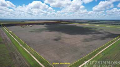 Farm Auction - QLD - Jandowae - 4410 - BLUE CHIP BRIGALOW/BELAH DRYLAND FARM IN THE HIGHLY REGARDED TUCKERANG – INVERAI DISTRICT!!!  (Image 2)