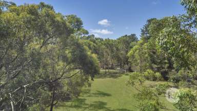 Farm For Sale - VIC - Tuerong - 3915 - Private Peninsula Retreat  (Image 2)