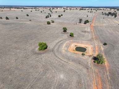 Farm For Sale - NSW - Boree Creek - 2652 - Scale, Water and Red Soil  (Image 2)