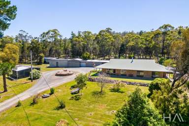 Farm For Sale - TAS - Murdunna - 7178 - Exceptional peninsula acreage ideal for home, business and leisure, around a 10-minute drive from Dunalley and Eaglehawk Neck in different directions  (Image 2)