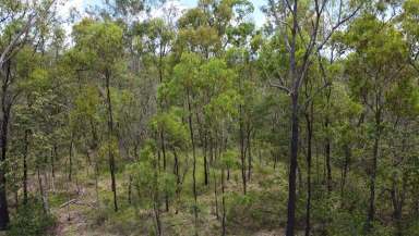 Farm For Sale - QLD - Moolboolaman - 4671 - Your Private Paradise Awaits! 70.57 Acre Bush Block  (Image 2)