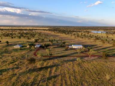 Farm Auction - QLD - Surat - 4417 - Quality, Lifestyle and Location  (Image 2)