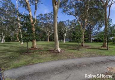 Farm For Sale - NSW - North Nowra - 2541 - RARE OPPORTUNITY: One-Acre Block in a Dress Circle Location  (Image 2)