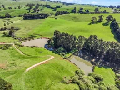 Farm For Sale - VIC - Mirboo - 3871 - Water Reigns!  (Image 2)