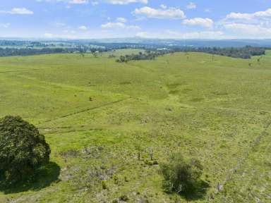 Farm For Sale - QLD - Pechey - 4352 - Pechey, Quality Rural Living and Grazing  (Image 2)