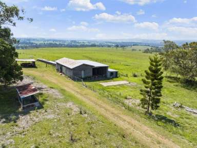 Farm For Sale - QLD - Pechey - 4352 - Pechey, Quality Rural Living and Grazing  (Image 2)