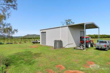 Farm For Sale - QLD - Dimbulah - 4872 - AFFORDABLE ENTRY LEVEL FARMING OPPORTUNITY  (Image 2)