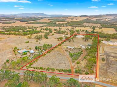 Farm For Sale - WA - Mount Barker - 6324 - Rural Paradise with Sweeping Sunrise's over the Porongurups  (Image 2)