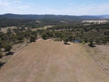 Farm For Sale - NSW - Cookamidgera - 2870 - Priced to sell- working farm offers a bright future  (Image 2)