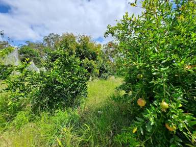 Farm For Sale - QLD - Crows Nest - 4355 - 2.47 Acres, bush retreat, orchard, and comfortable 4 bed home.  (Image 2)