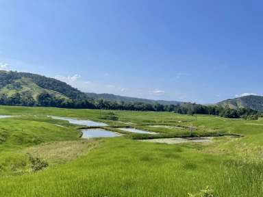 Farm For Sale - QLD - Daintree - 4873 - VIEWS, ACRES & LIVABLE SHED - WHAT MORE COULD YOU WANT  (Image 2)