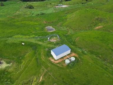 Farm For Sale - QLD - Daintree - 4873 - VIEWS, ACRES & LIVABLE SHED - WHAT MORE COULD YOU WANT  (Image 2)