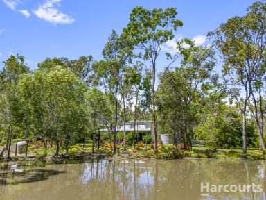 Farm For Sale - QLD - Pacific Haven - 4659 - Acreage Lifestyle with Sustainable Features - Steps from the Burrum River  (Image 2)