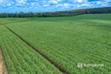 Farm For Sale - QLD - Bungadoo - 4671 - PRIME BUNDABERG FARMLAND – 62ha ACROSS THREE TITLES WITH MODERN FAMILY HOME  (Image 2)