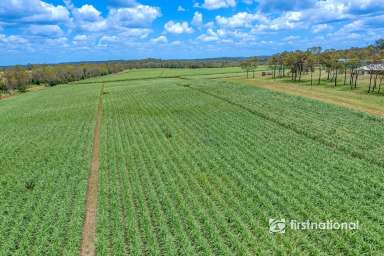 Farm For Sale - QLD - Bungadoo - 4671 - PRIME BUNDABERG FARMLAND – 62ha ACROSS THREE TITLES WITH MODERN FAMILY HOME  (Image 2)