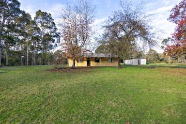 Farm Sold - NSW - Kitchener - 2325 - Stunning Acreage with Stables and Plenty of Potential  (Image 2)