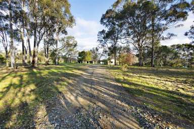 Farm Sold - NSW - Kitchener - 2325 - Stunning Acreage with Stables and Plenty of Potential  (Image 2)