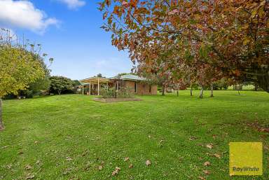 Farm For Sale - VIC - Foster - 3960 - Craftsman Built Lifestyle Property  (Image 2)