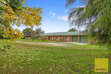 Farm For Sale - VIC - Foster - 3960 - Craftsman Built Lifestyle Property  (Image 2)