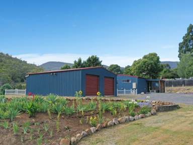 Farm For Sale - TAS - Molesworth - 7140 - Spacious Family Retreat on 5 Acres!  (Image 2)