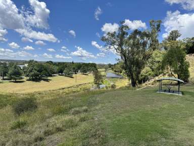 Farm For Sale - NSW - Inverell - 2360 - Nature, Location, River Views  (Image 2)