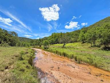 Farm For Sale - NSW - Laguna - 2325 - Once in a Lifetime Opportunity!  (Image 2)