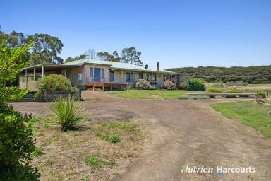 Farm For Sale - VIC - Newfield - 3268 - Idyllic Countryside Retreat on 80 acres 5 minutes from Port Campbell  (Image 2)