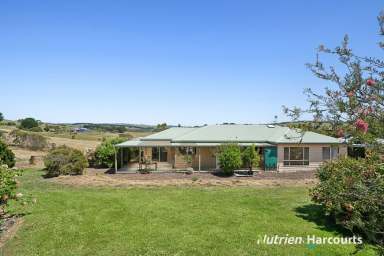 Farm For Sale - VIC - Newfield - 3268 - Idyllic Countryside Retreat on 80 acres 5 minutes from Port Campbell  (Image 2)