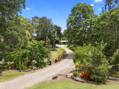 Farm For Sale - QLD - Araluen - 4570 - OASIS LIVING PLUS STUDIO  (Image 2)