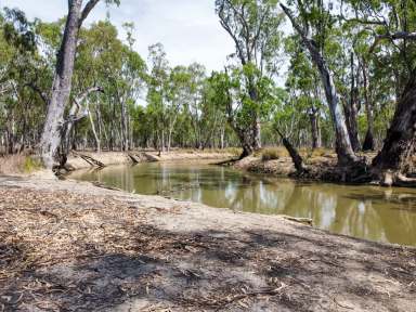 Farm For Sale - NSW - Noorong - 2732 - "Talakborong"  (Image 2)