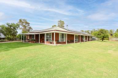 Farm For Sale - NSW - Noorong - 2732 - "Talakborong"  (Image 2)