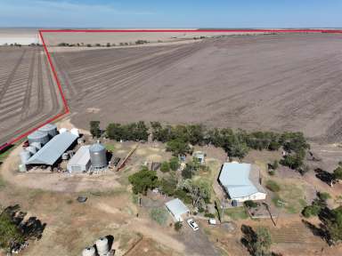 Farm Auction - NSW - Bellata - 2397 - Prime Farming on the Edgeroi Plain  (Image 2)