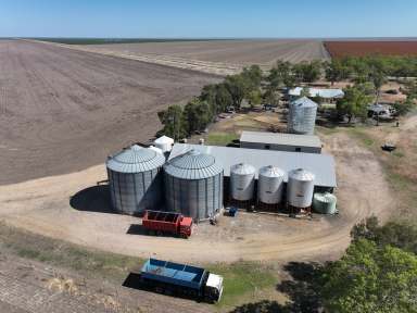 Farm Auction - NSW - Bellata - 2397 - Prime Farming on the Edgeroi Plain  (Image 2)