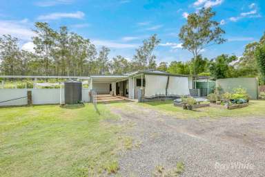 Farm For Sale - QLD - South Bingera - 4670 - "120 Hills Road, South Bingera"  (Image 2)