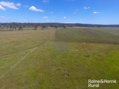 Farm For Sale - QLD - Booie - 4610 - Neat fertile 160 Acre Property.  (Image 2)