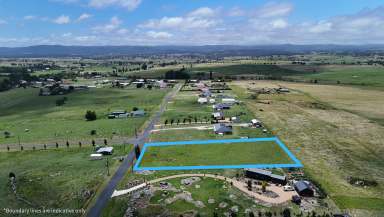 Farm For Sale - NSW - Tenterfield - 2372 - Build Your Future  (Image 2)