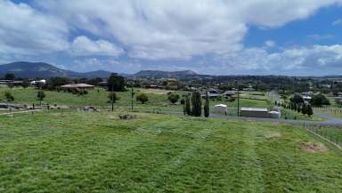 Farm For Sale - NSW - Tenterfield - 2372 - Build Your Future  (Image 2)