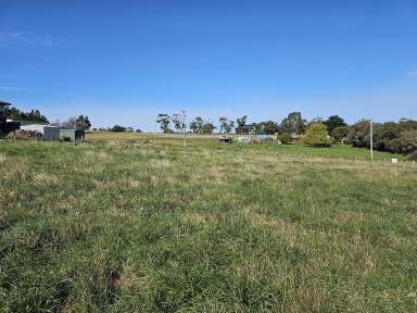 Farm For Sale - TAS - Triabunna - 7190 - What an opportunity  (Image 2)