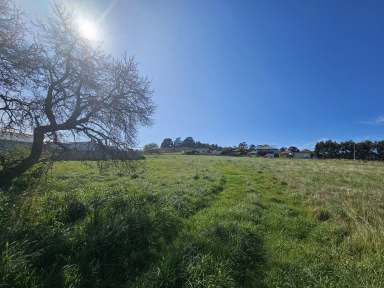 Farm For Sale - TAS - Triabunna - 7190 - What an opportunity  (Image 2)