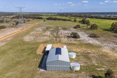 Farm For Sale - WA - Gingin - 6503 - "Absolute Rare Find"  (Image 2)